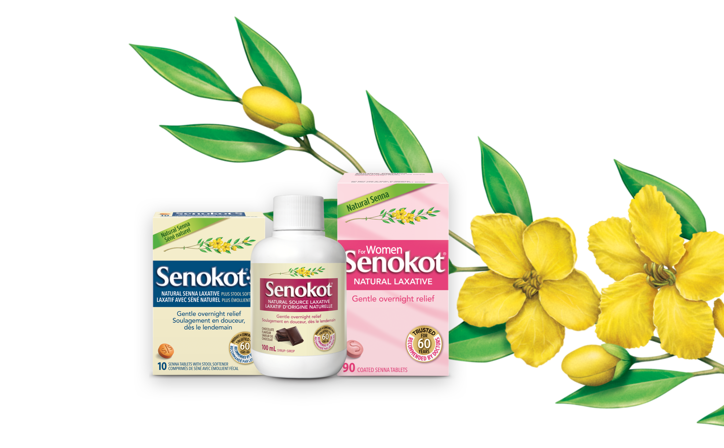Senokot product shots, senna flower