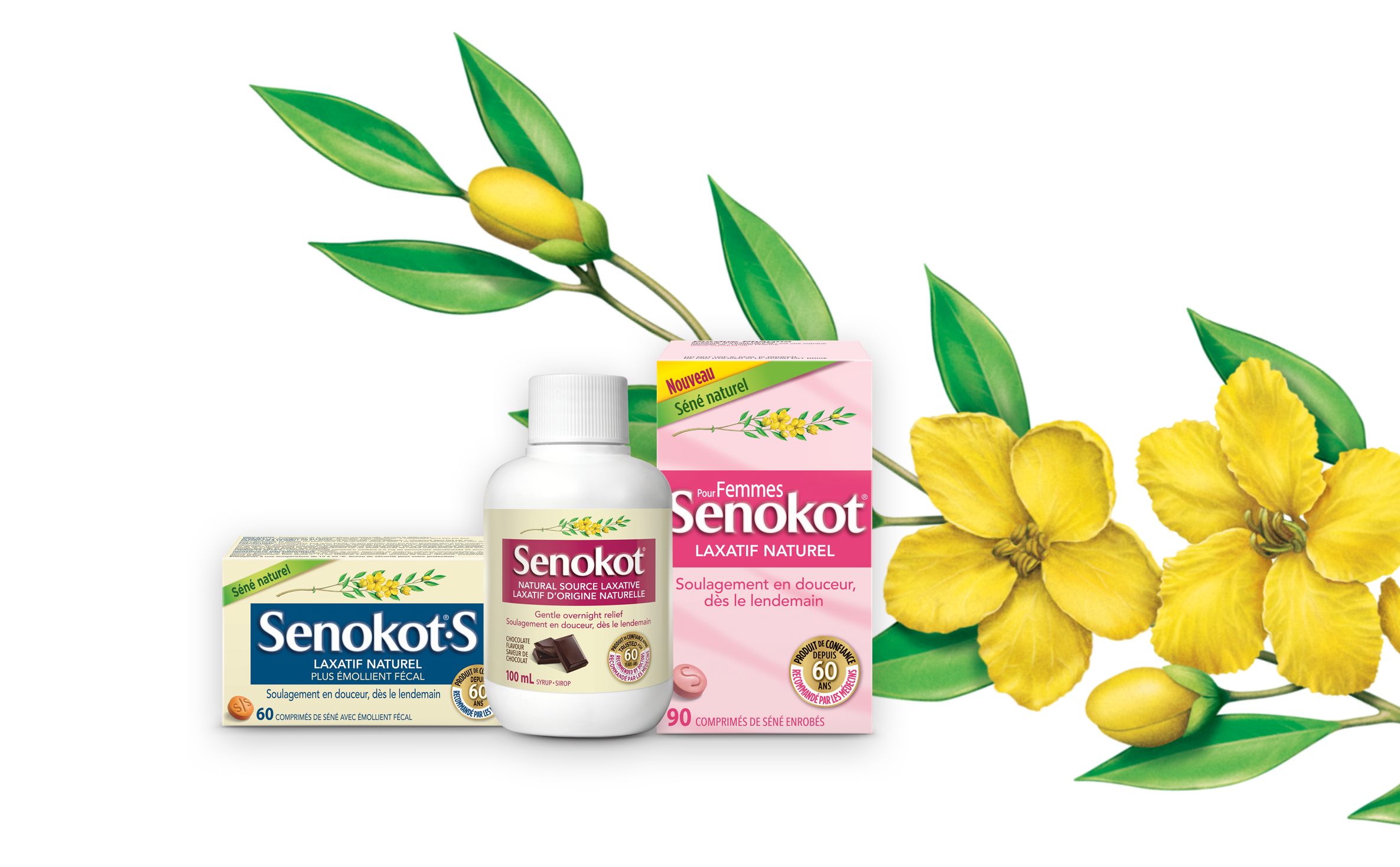 Les produits Senokot, la fleur séné